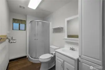 Main floor bathroom with walk-in shower.