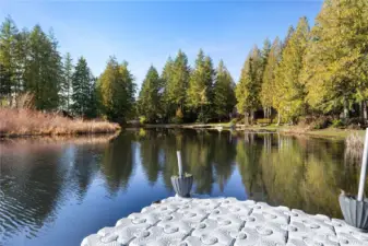 Looking out from the dock.