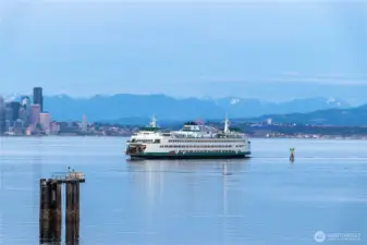 Watching the Ferries glide past never gets old.
