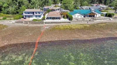 Time to go beachcombing. This is the warmest waters of the Hood Canal.