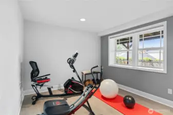 Lower level bedroom/flex space.