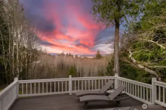 Oversize deck with an ever improving view of the Hood Canal.
