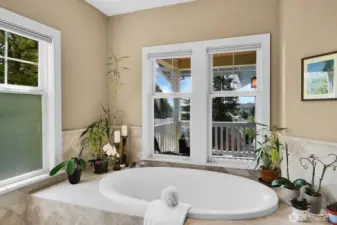This wonderful deep soaking tub has a view! Very spa-like...a true haven for the end of a long day.