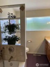 Main Bath 2