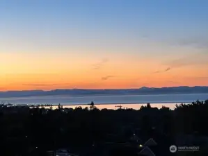 Living View