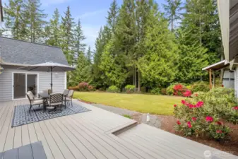 Newer Trex decking