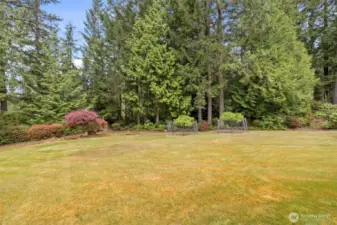 Fruit trees at the edge of the yard, with mature landscaping and trees beyond for privacy.