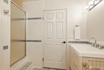 Downstairs bathroom showing the shower and vanity.