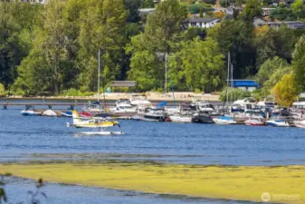 Lake Washington, watch Kenmore Air planes take off and land.