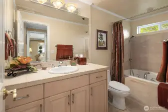Guest Bath, with Jetted Tub