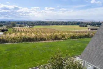 Focus on South View from home