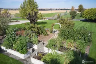 Front Garden w/ raised beds