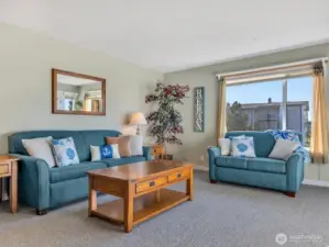 Living room, with large sleeper sofa.