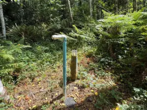 Neighboring property water valve at the easement