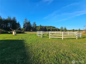 Hot walker & Round Pen