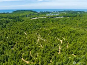 Network of 160 acres of mountain biking trails