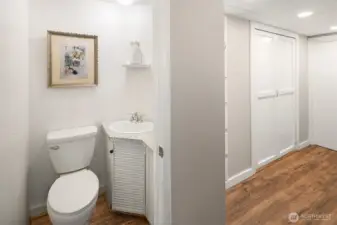 Lower level powder room is adjacent to separate shower.