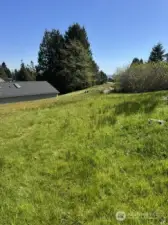 Looking east to Birch Bay