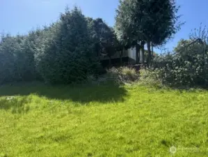 looking south, already landscaped for privacy