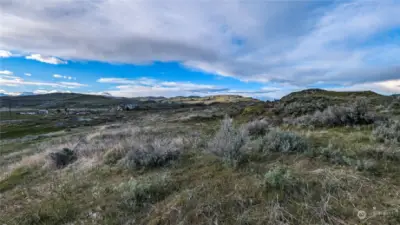 Looking NW from center east area of property.