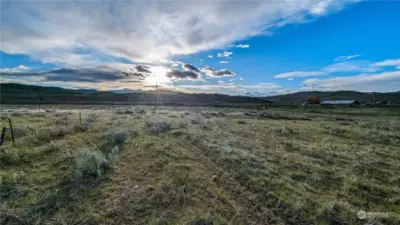 Looking west across the Southern property line.