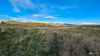 Looking East across southern area of property.