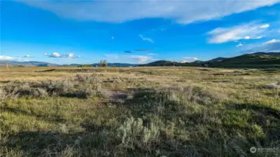 South view from center of property.