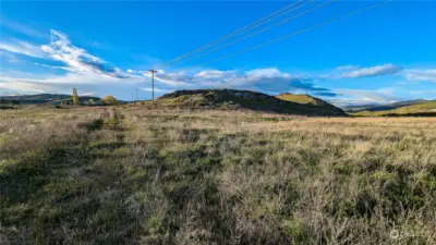 Kooing North from center of property.