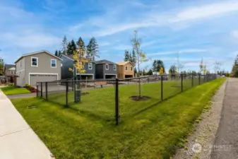 Fenced dog park for the community!