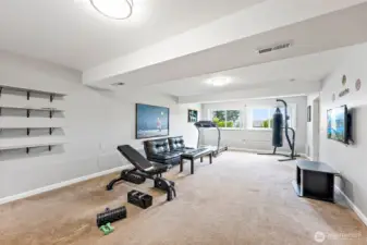bonus room (daylight basement)