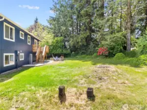 Huge back yard. Massive tree removed last year for your convinience!