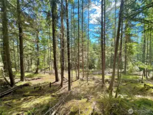 The additional vacant parcel has filtered water views and level building potential. An additional water membership is included.