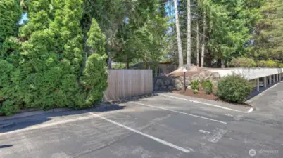 Uncovered Parking #8