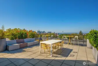 Roof Deck with BBQ and city, water and Olympic views!