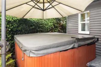 Hot tube and umbrella to remain with home.