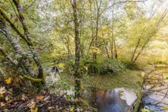 Inject your life with peace whenever you want here