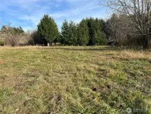 Facing east. Fence line is property line.