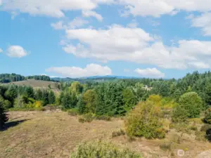 Facing west. Patch of trees is about middle of the property of previous photo.