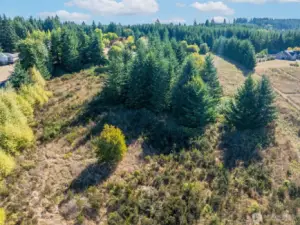 Mid-slope to lower slope looking east.