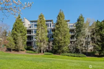 South facing patio and back windows for abundant natural light