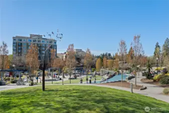 Located within the popular and desirable Downtown Bellevue Park