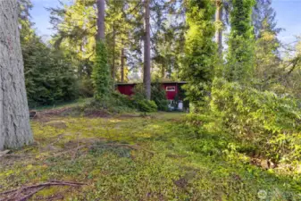 Large back yard with a detached Garage / Workshop