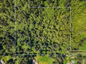 Build your dream home on nearly 20 acres of pristine forest with streams and trails in the heart of Bainbridge Island! This rare offering was once part of the historic Bucklin Hill Farm (est. 1887). Property outline is approximate.