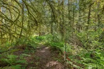 The surrounding acreage offers privacy and natural beauty, with shared trail upkeep and land stewardship through the HOA.