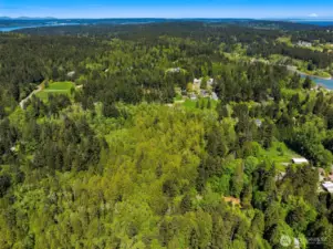View from above looking northwest with the Olympic Mountains (on the left) and Mt. Baker (on the right) in the distance.
