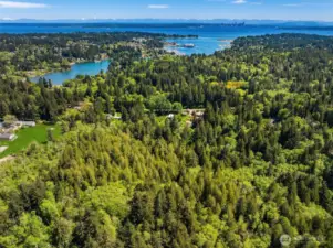 View from above looking east across Eagle Harbor with Puget Sound, Seattle and the Cascade Mountains beyond.