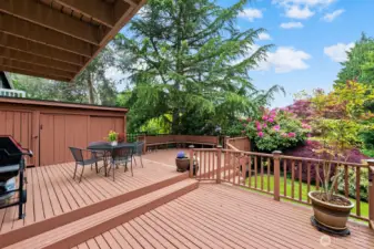 huge deck with tons of privacy