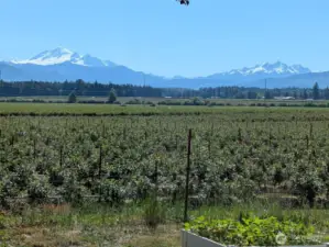 Look at the view right from your own living room window or yard!