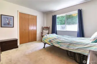 Lower Level bedroom.