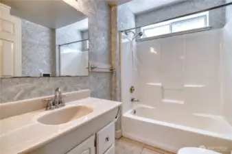 Lower Level bathroom